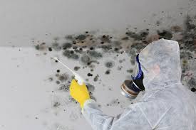 Trusted Lincolnshire, IL Mold Removal Services Experts